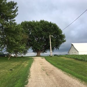 Meet your Posher, Cecelia